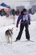 Lenk 2013